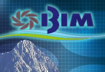 bim